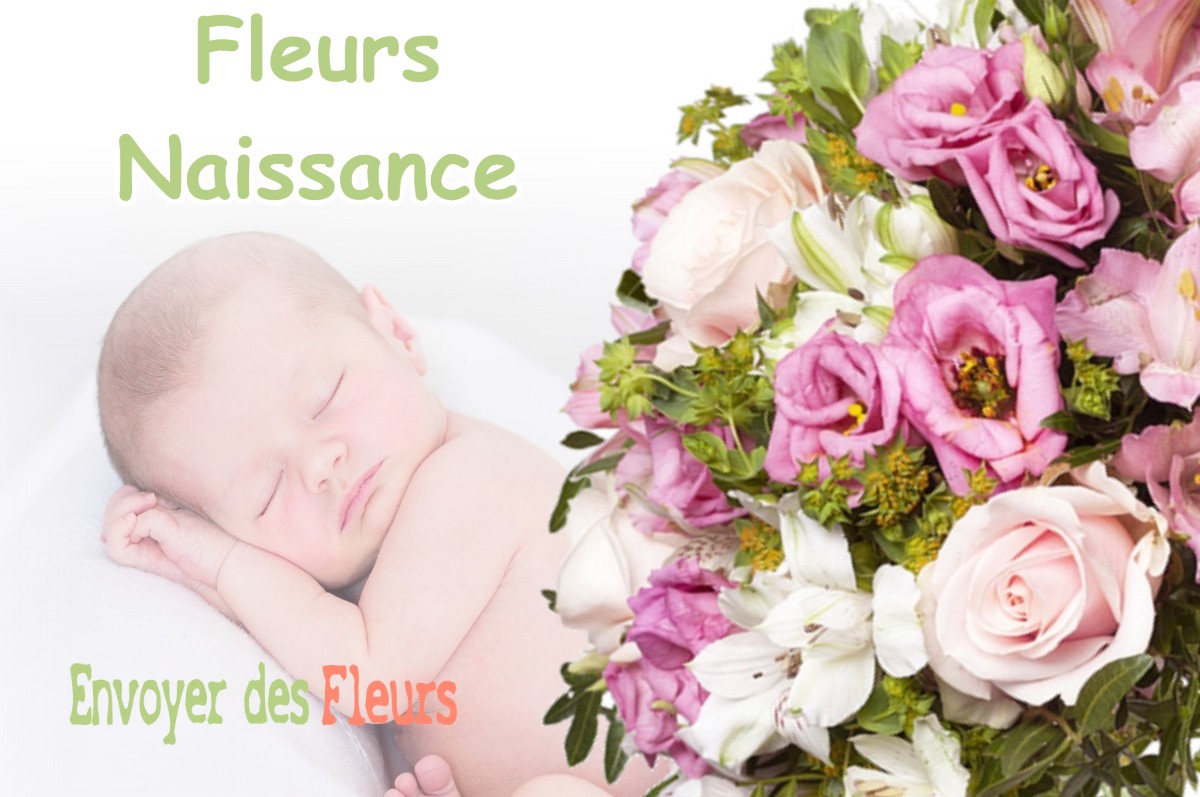 lIVRAISON FLEURS NAISSANCE à PROUPIARY